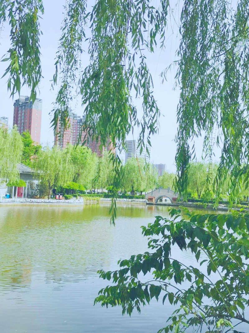 瑟瑟烟水寒 秋日诗境中的生命咏叹